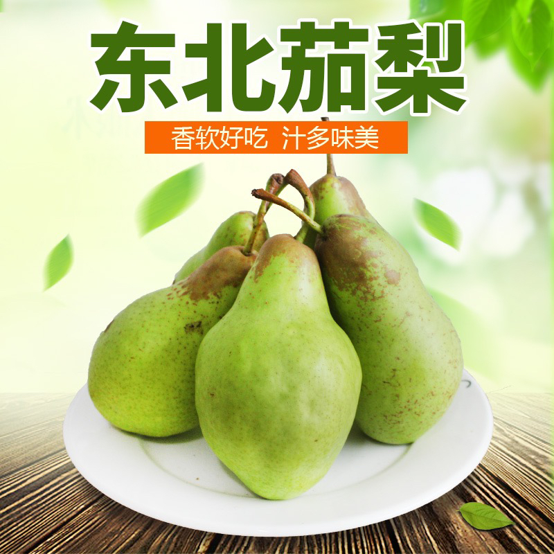 大头梨太婆梨东北特产