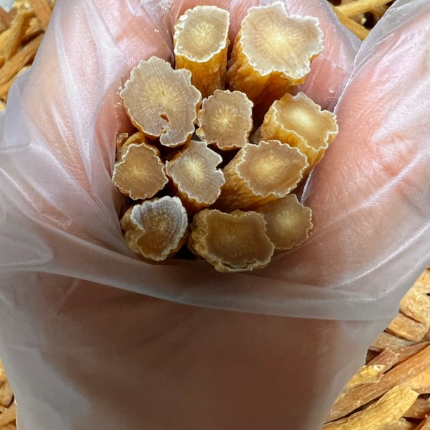 韩种高丽参丁大腿丁