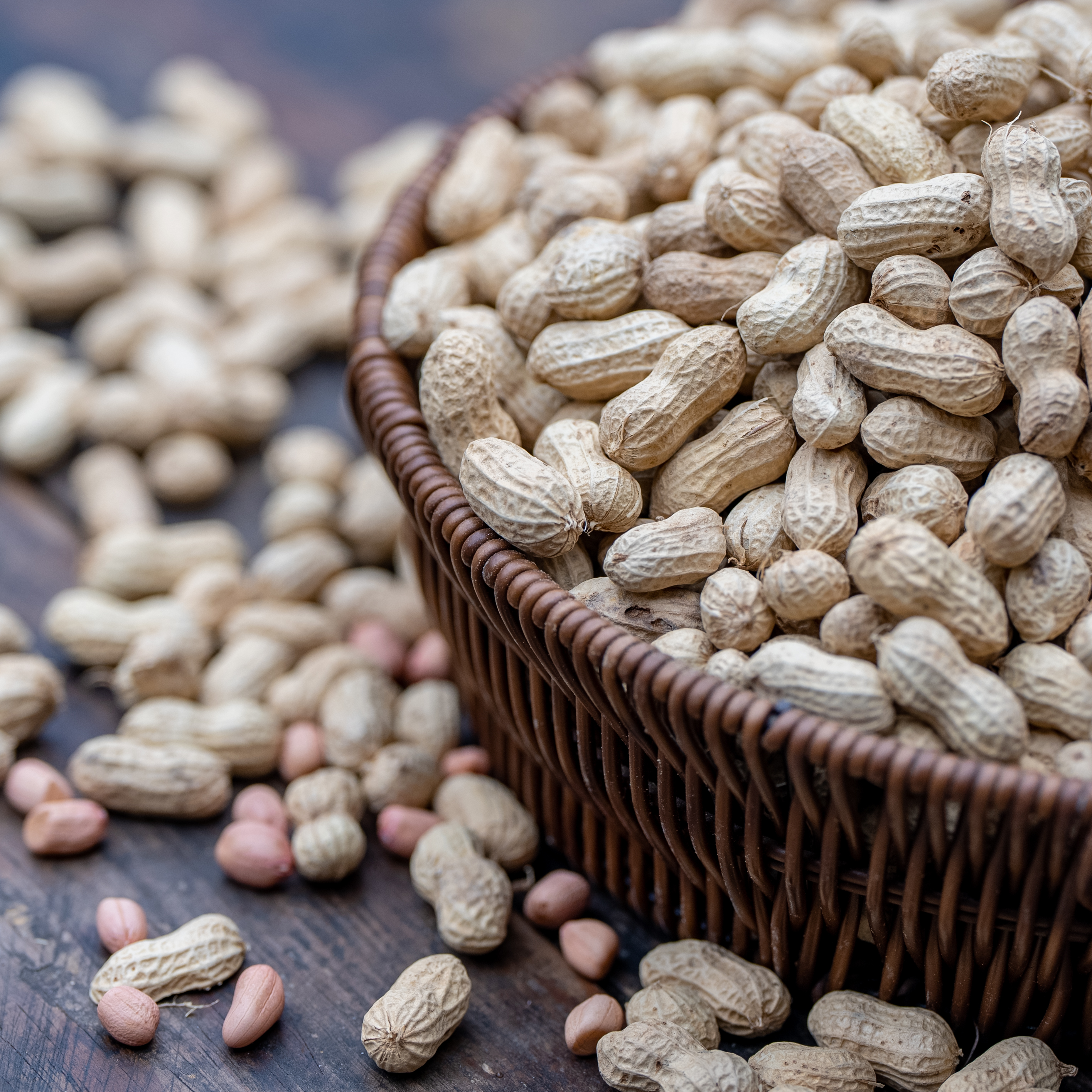 贵州干花生农家自种铜仁珍珠花生地方小品种颗粒饱满