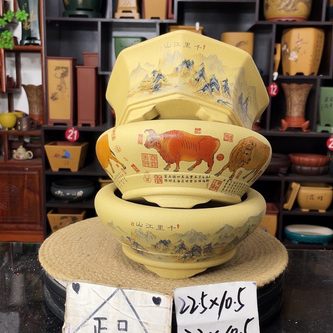 紫砂20CM（含）-50CM（不含）