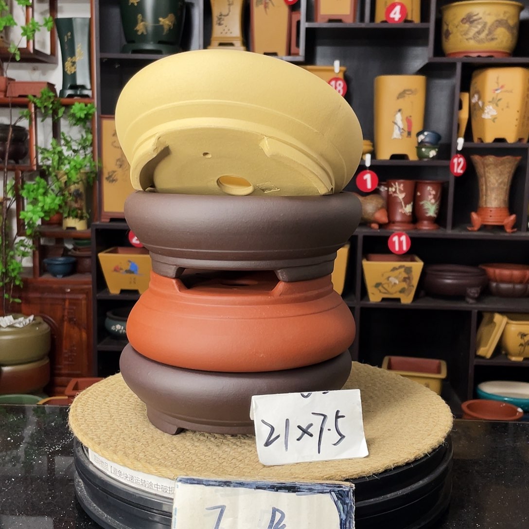 紫砂20CM（含）-50CM（不含）