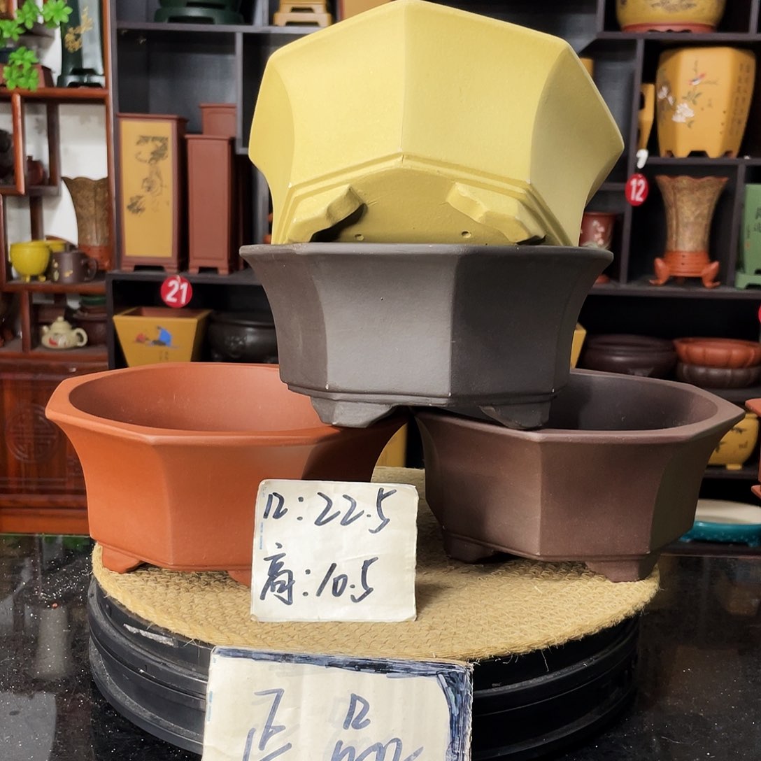 紫砂20CM（含）-50CM（不含）
