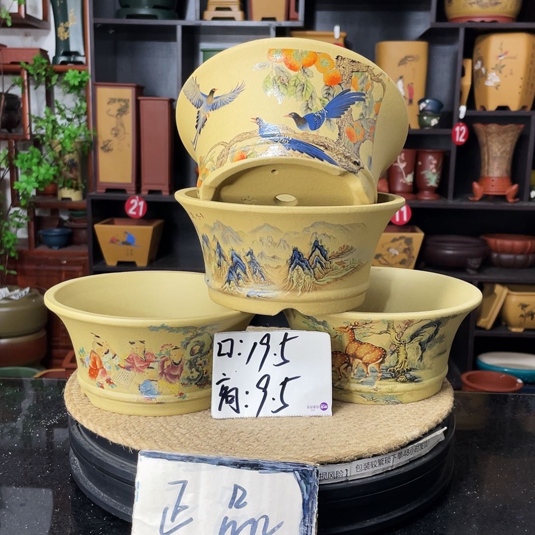 紫砂20CM（含）-50CM（不含）