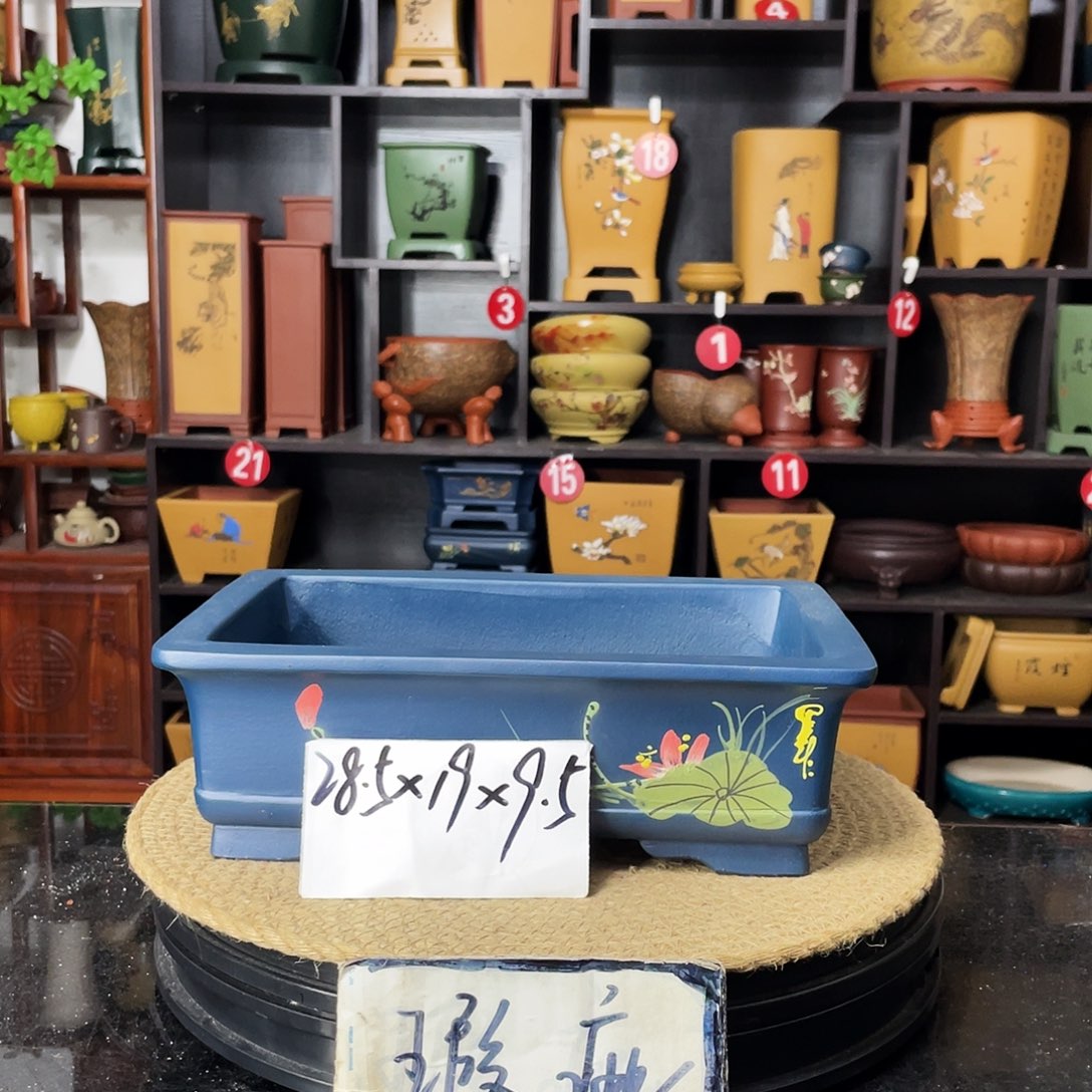 紫砂20CM（含）-50CM（不含）