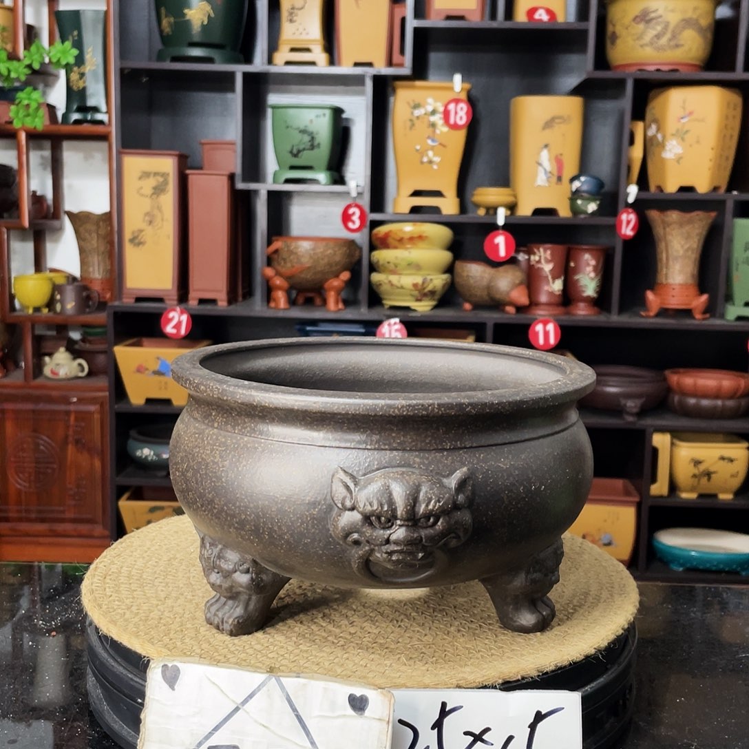 紫砂20CM（含）-50CM（不含）
