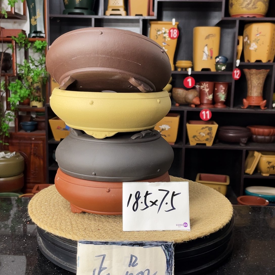 紫砂20CM（含）-50CM（不含）