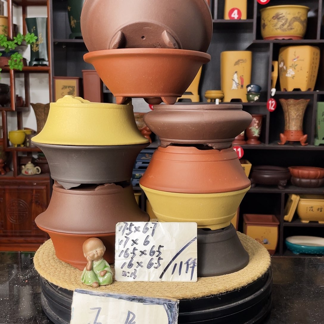 紫砂20CM（含）-50CM（不含）