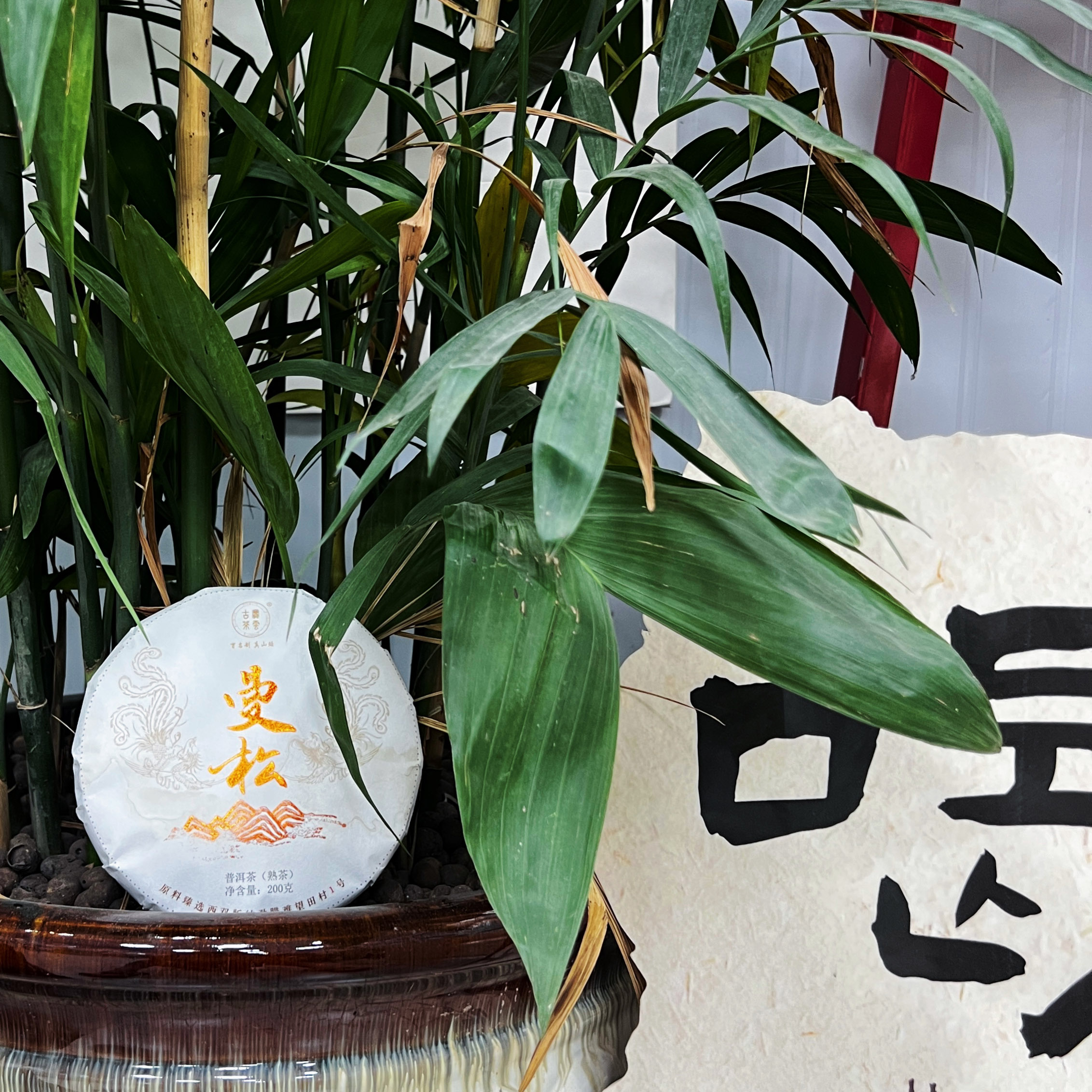 2023曼松二春 普洱茶熟茶 饼茶（熟茶）200克/饼