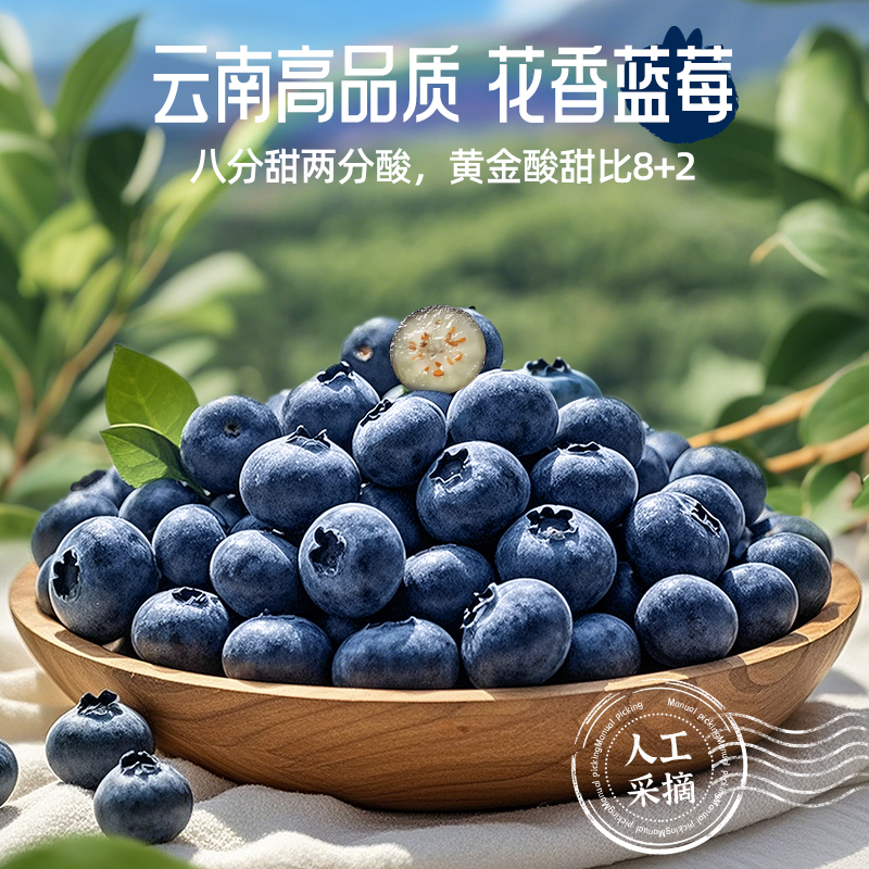 【产地发】云南优+花香蓝莓新鲜采摘100克*8盒香脆甜非纯甜