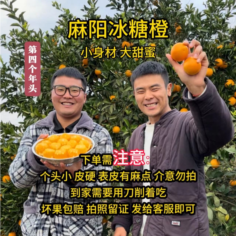 正宗麻阳冰糖橙新鲜水果现摘现发5斤装「保温箱发货」