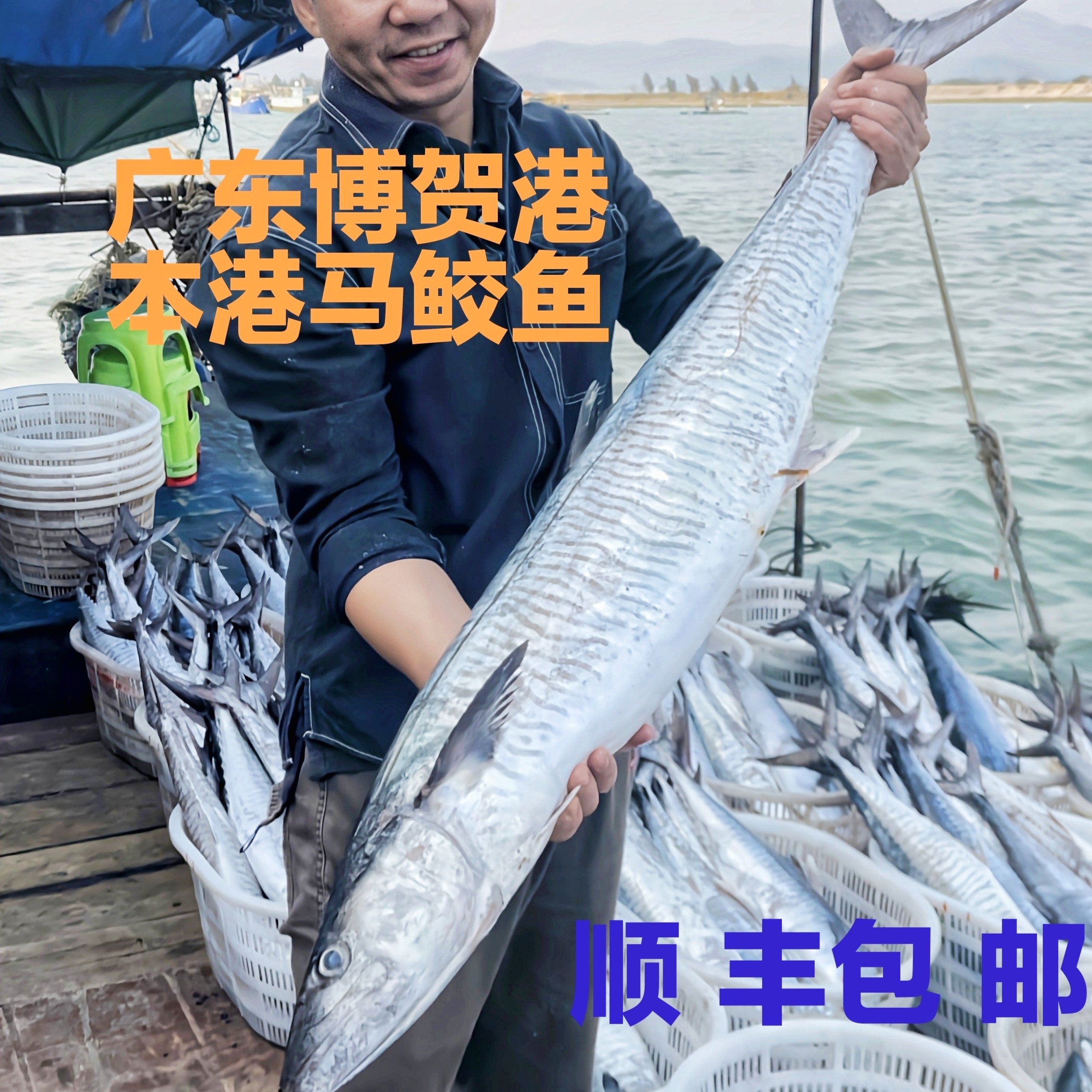【马鲛仔海产】8-9斤正宗马鲛鱼 整条切片 顺丰包邮 茂名博贺港海鲜