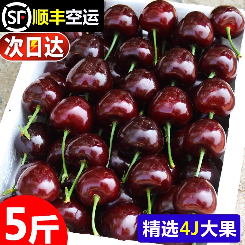 智利进口车厘子1-5斤J-4J樱桃大果当季孕妇鲜水果礼盒顺丰空 包邮