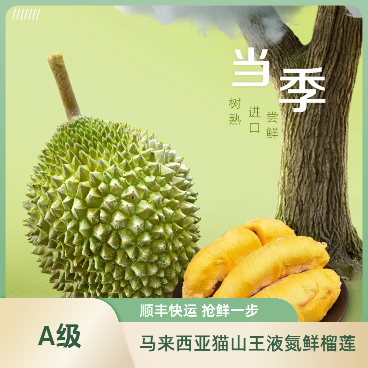 【保4房】A级猫山王榴莲D197液氮冷冻马来西亚进口正宗品质新鲜包邮
