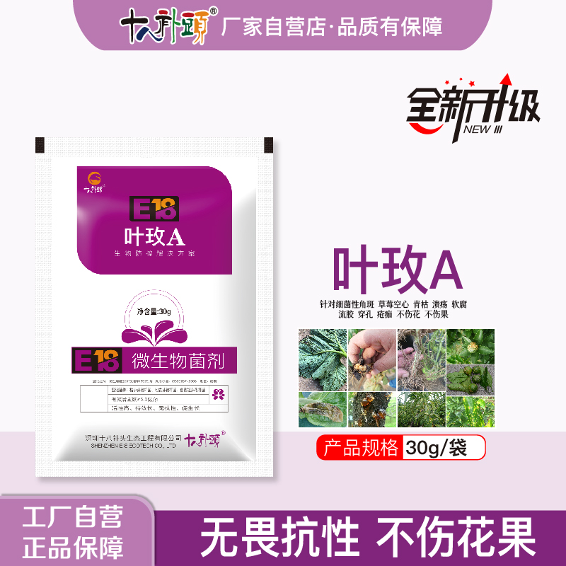 叶枚A 防控高抗性细菌性角斑溃疡青枯软腐流胶穿孔特别效果进出口