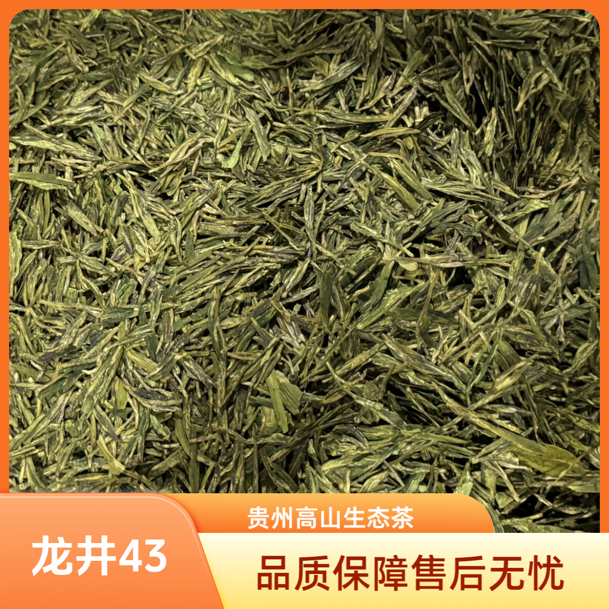 喜贡坊龙井43二级贵州高山生态茶