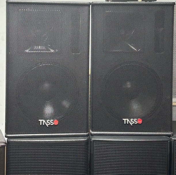 12 寸迪素音箱一对，不包邮