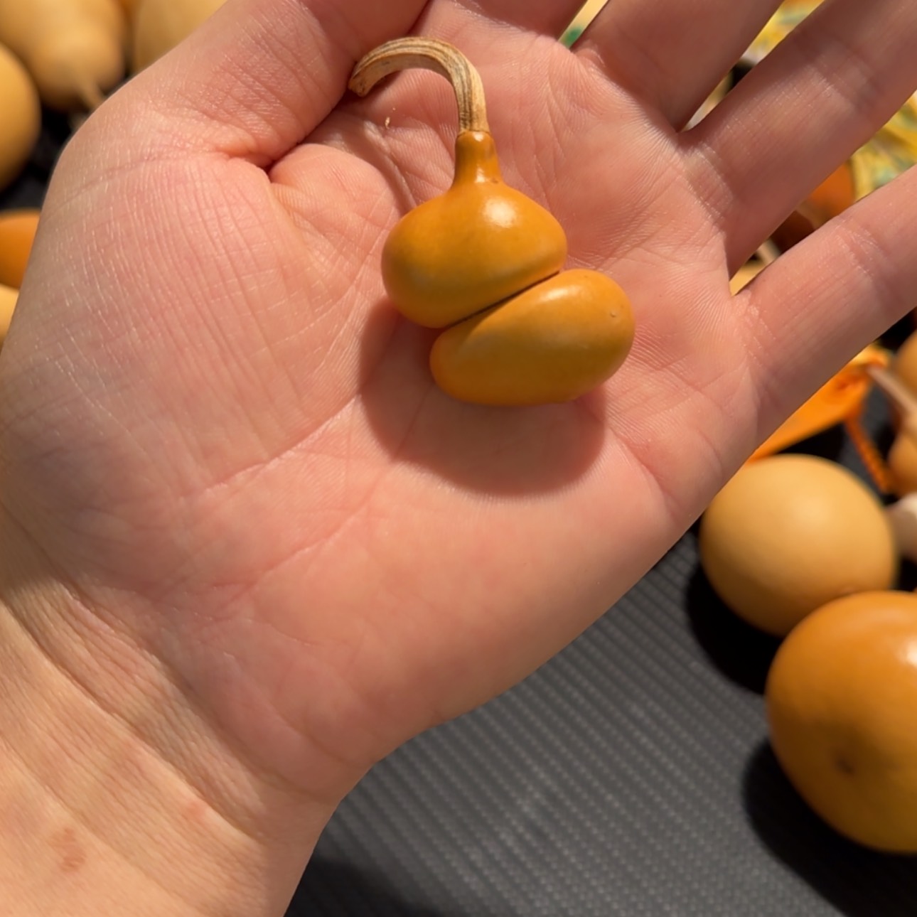 【闪购商品】天然葫芦不**动