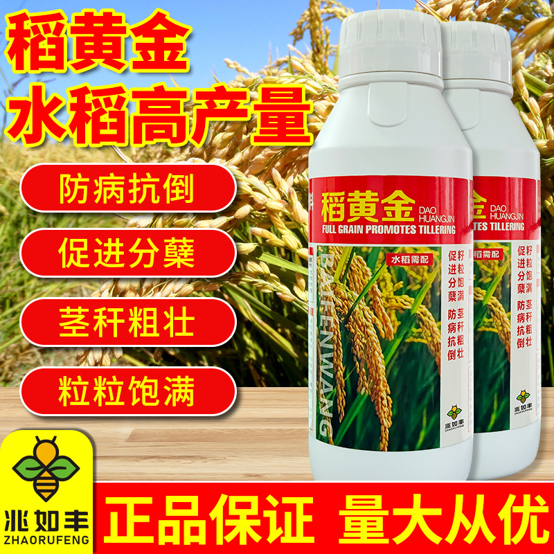 兆如丰稻黄金水稻叶面肥黄金稻粒粒饱抗倒抗病促灌浆分蘖增产肥料
