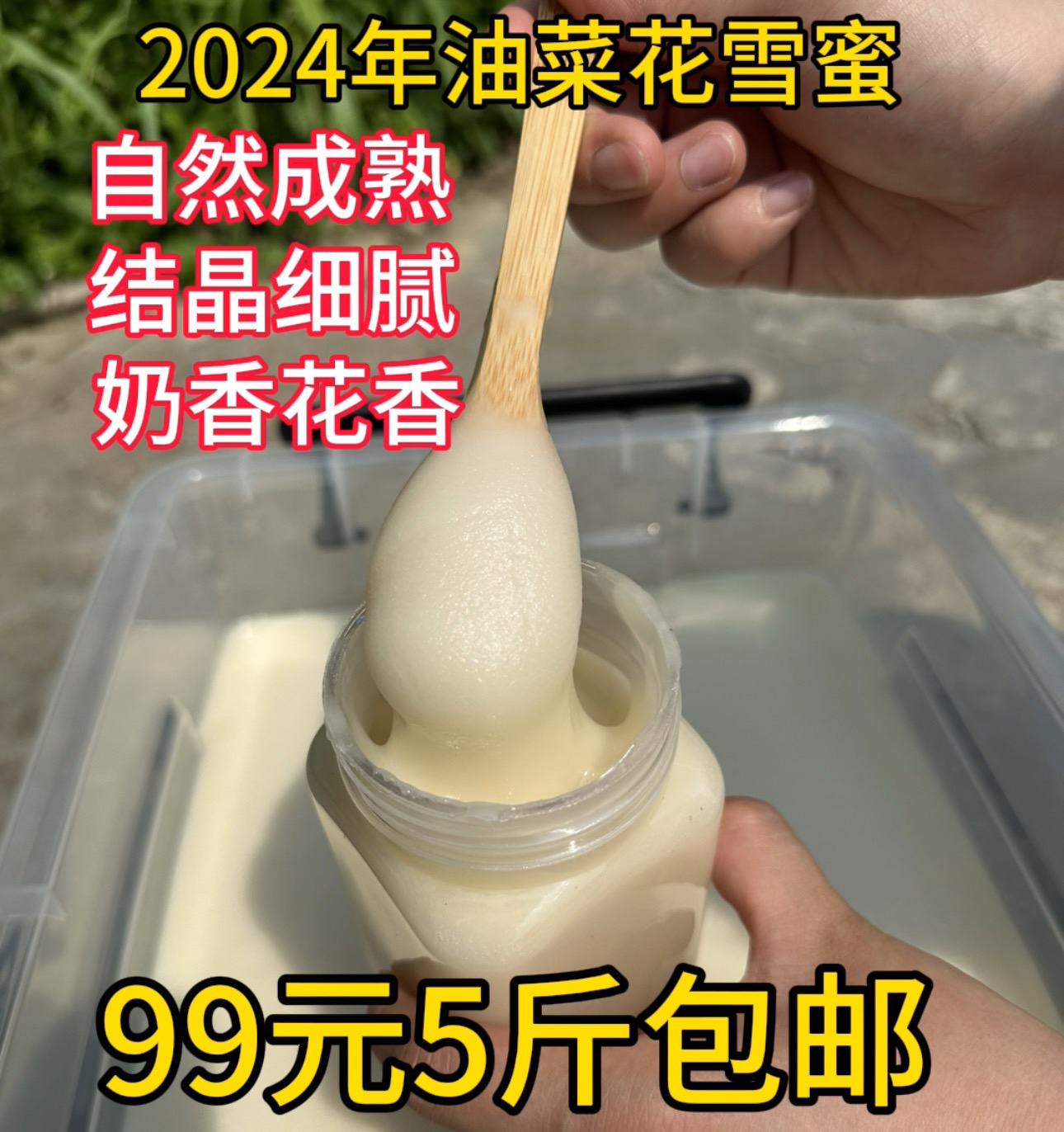 2024年结晶油菜蜂蜜自然成熟。蜂场直供纯天然无添加原蜜