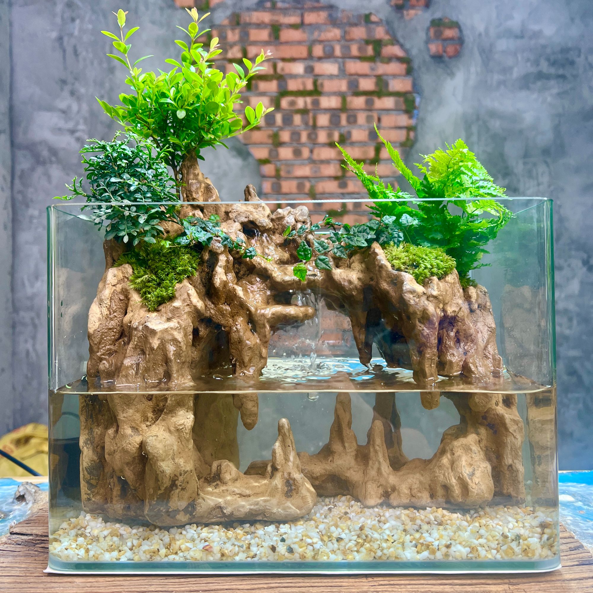 【南山】-仿松皮石微景观真石头开模小叶赤楠苔藓造景创意绿植组合