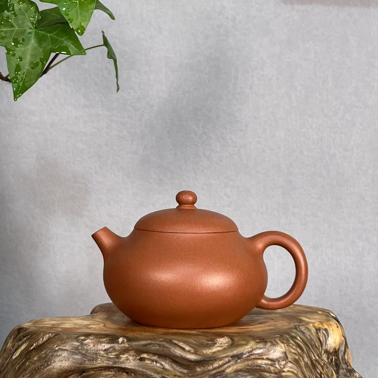 【文旦】实拍 紫砂壶 容量约150cc