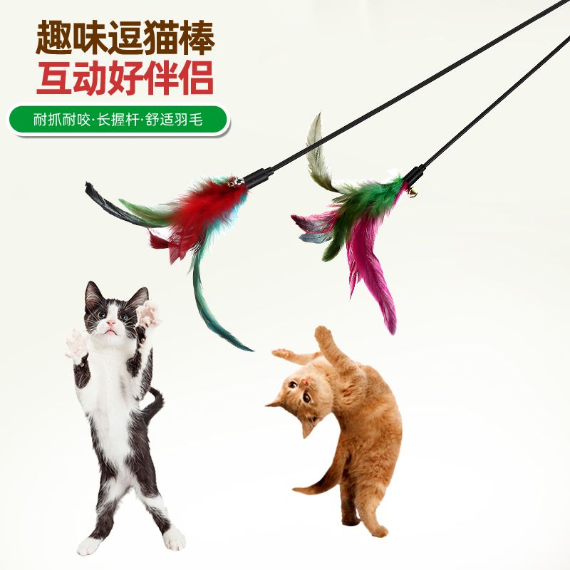 猫咪逗猫棒趣味彩色羽毛耐咬带铃铛长杆逗猫互动神器逗猫棒猫玩