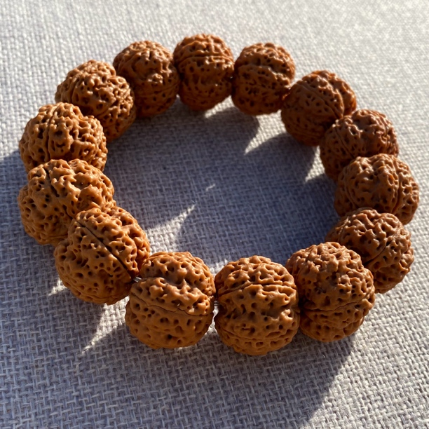 H5-21尼泊尔大金刚巨肉梅花双龙金刚菩提