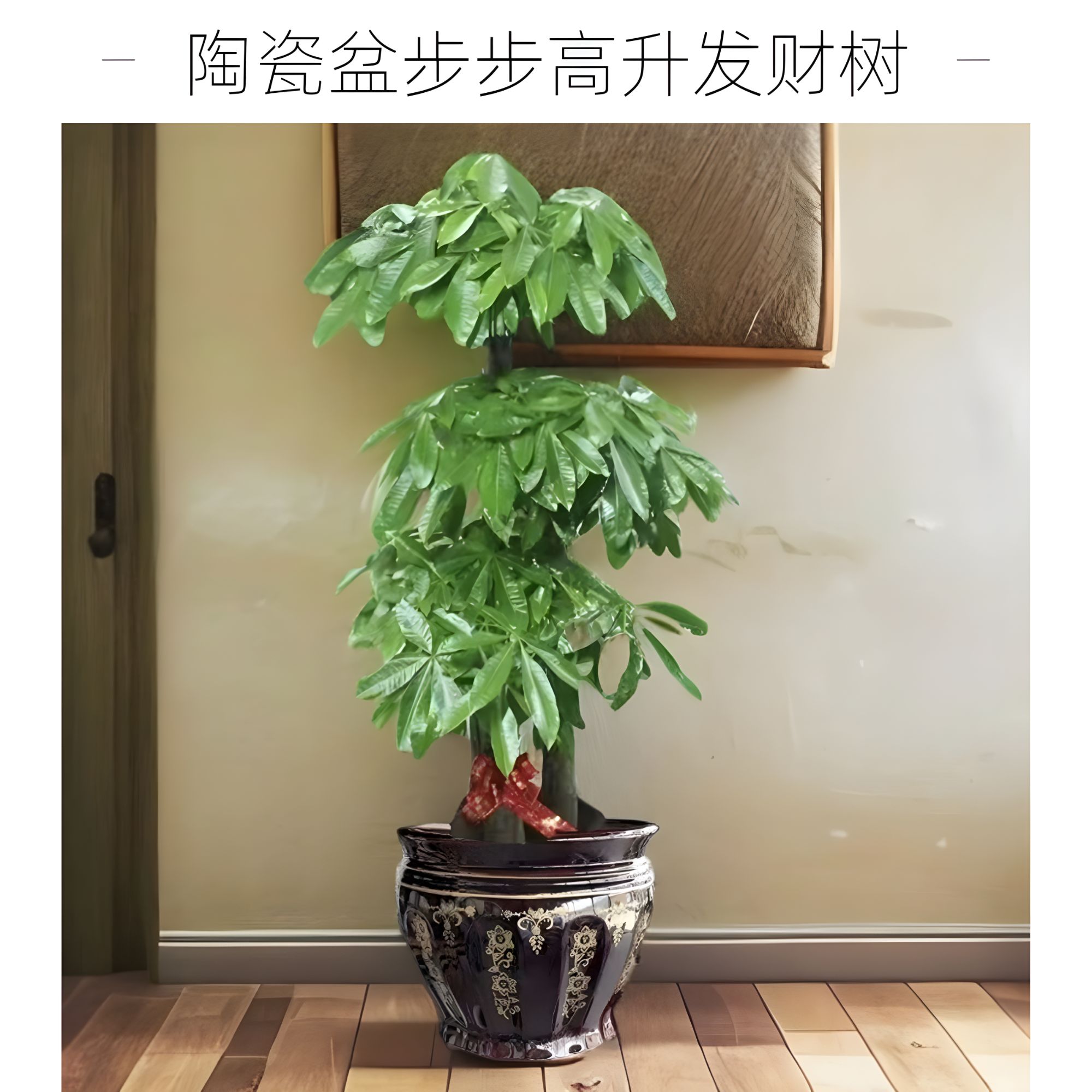 陶瓷大棵盆发财树净化空气大气现代复古室内绿植发财树大棵盆栽