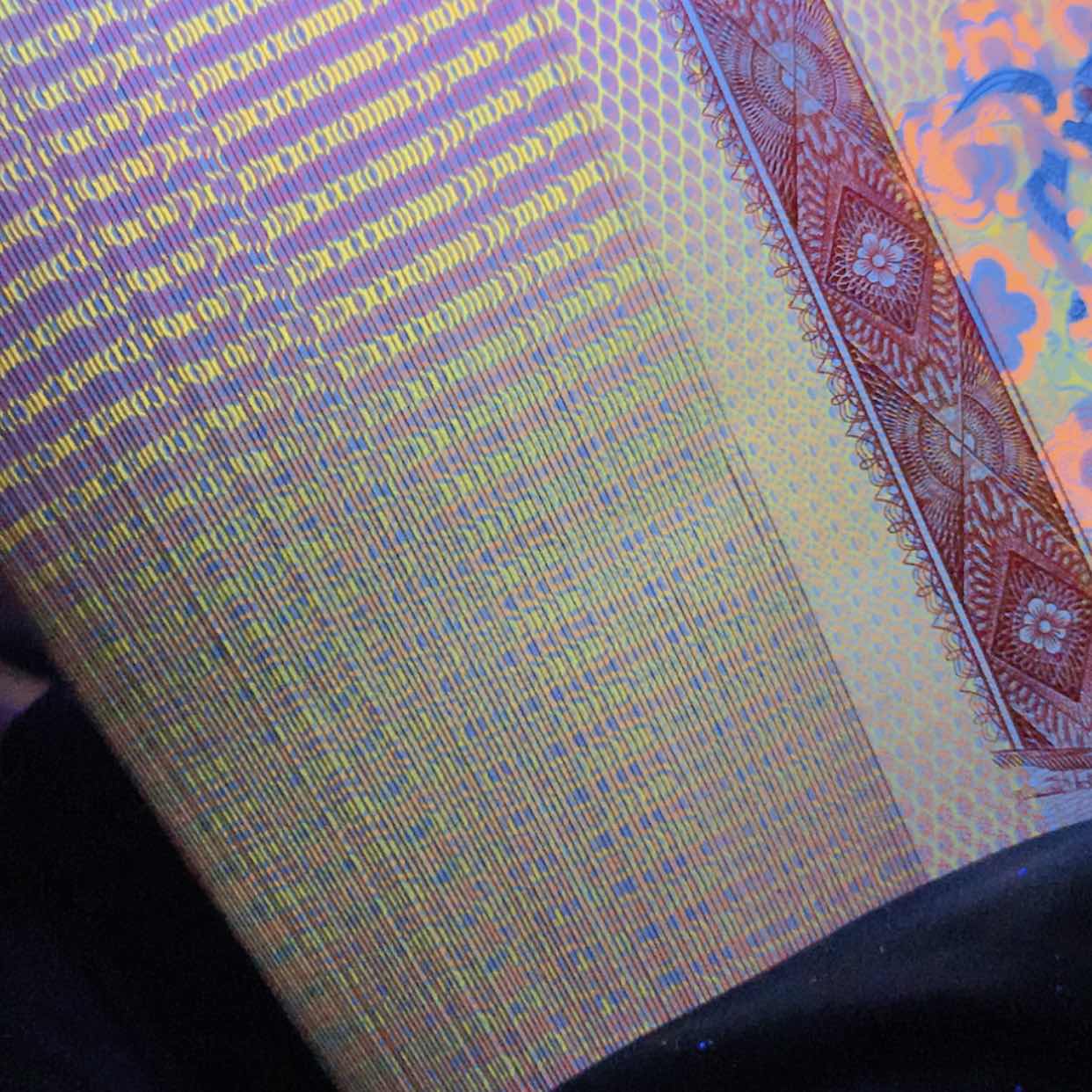 【闪购商品】金光强红金龙、金长城、霸王花