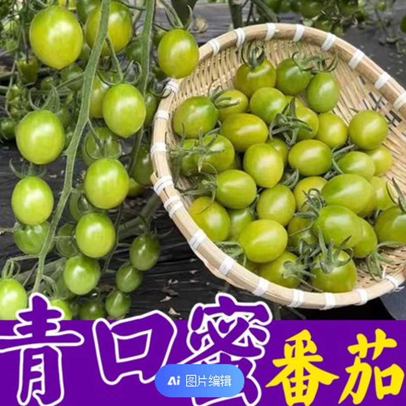 青口蜜番茄苗 绿果贼不偷 口感大果番茄苗 四季种高产抗病好吃