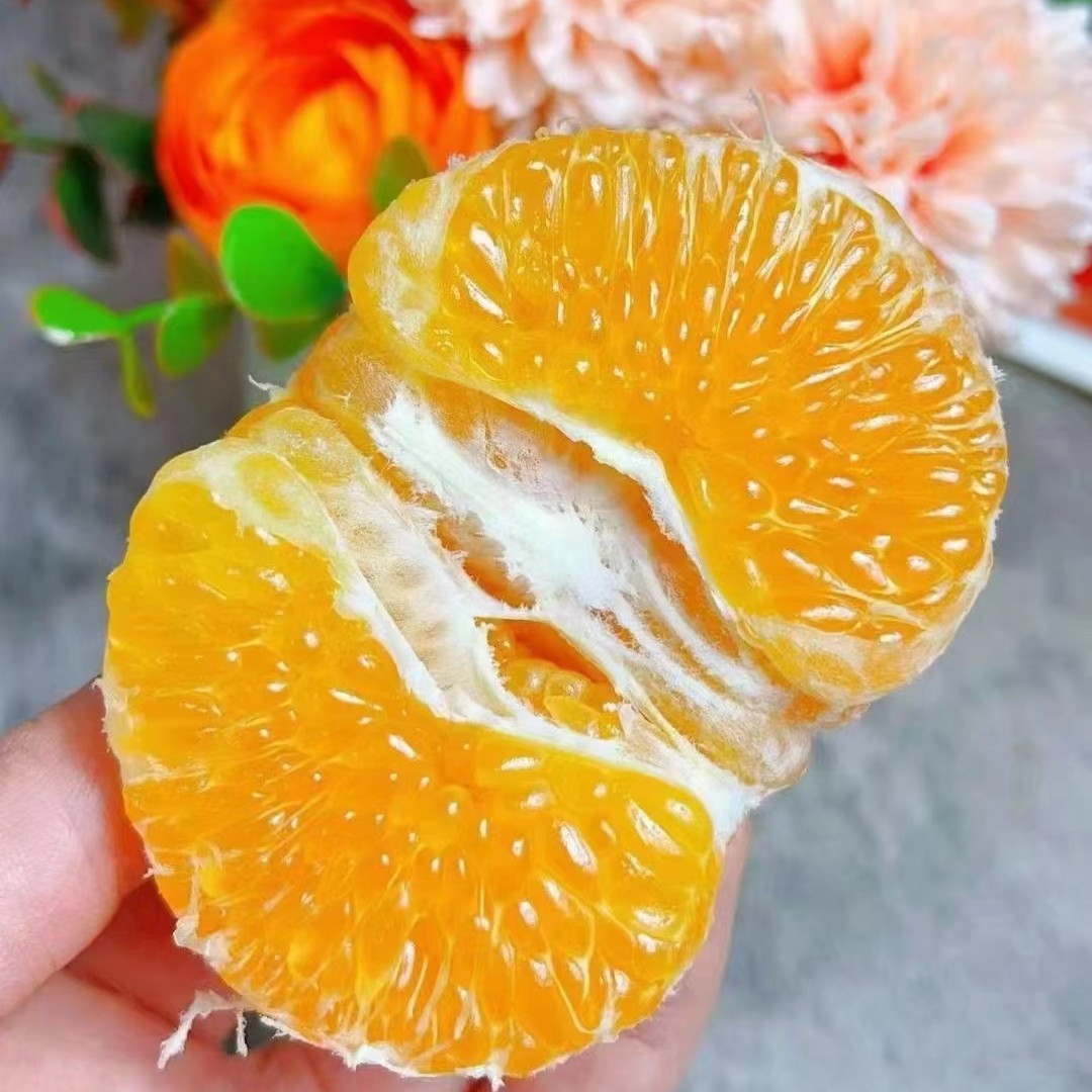 【吃货家优选】爆粒甜心春见耙耙柑丑橘一箱毛重7.5斤