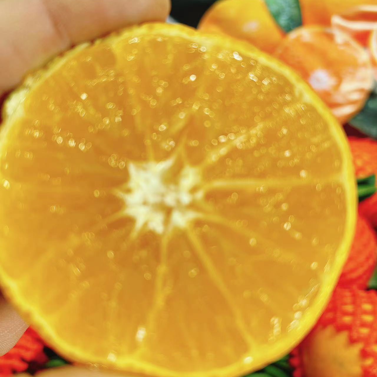 【吃货家优选】四川爱媛果冻橙一箱净重6斤