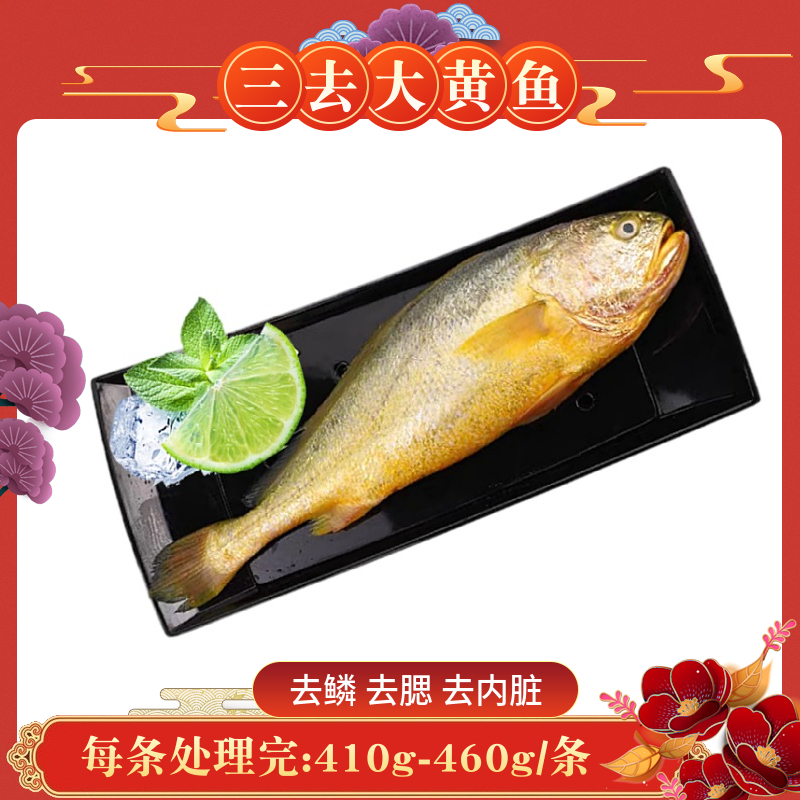 【三去】5条，每条处理完410-460g/条，霞浦新鲜大黄鱼黄花鱼贴心三去