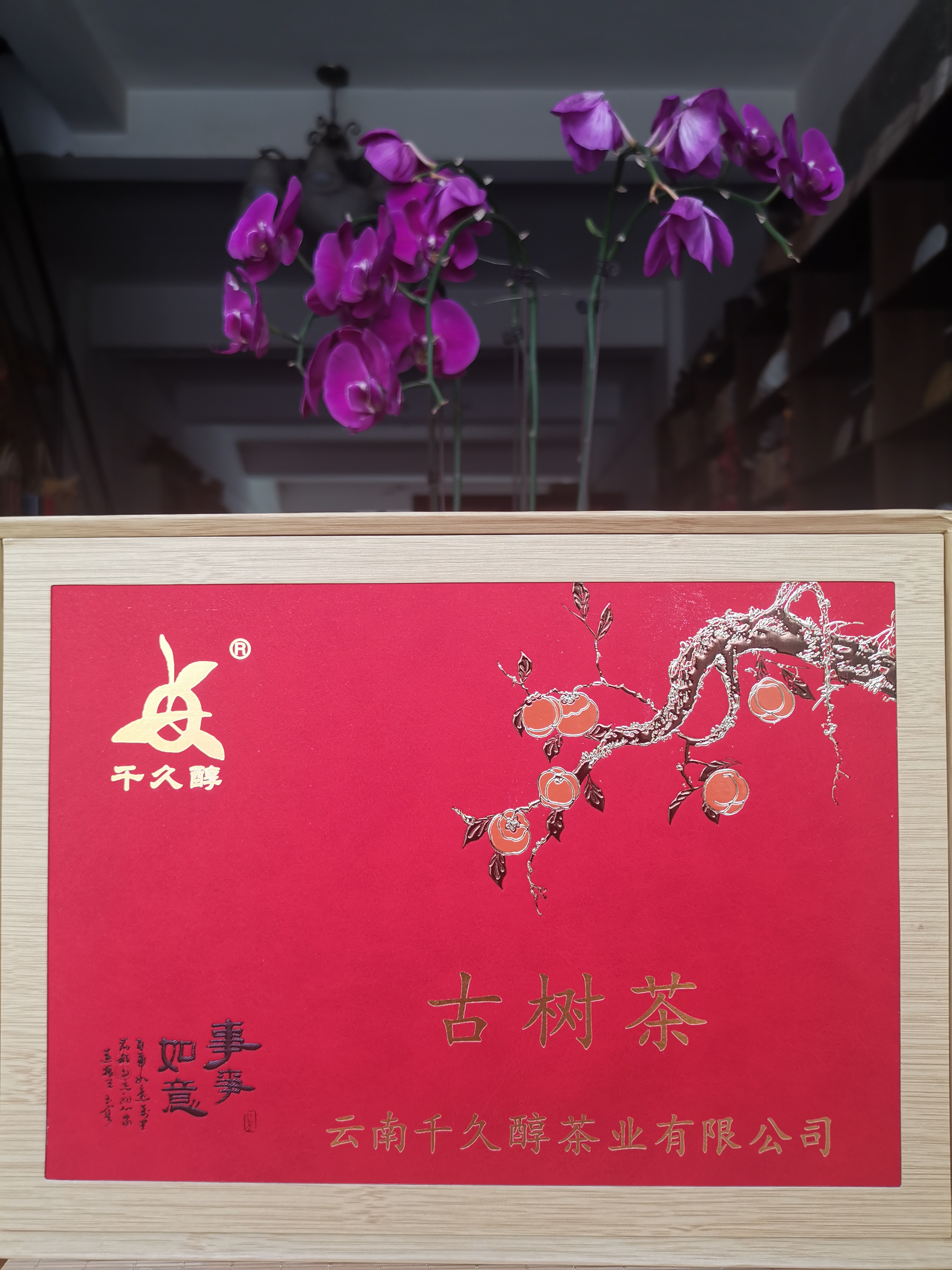 千久醇易武古树龙珠茶