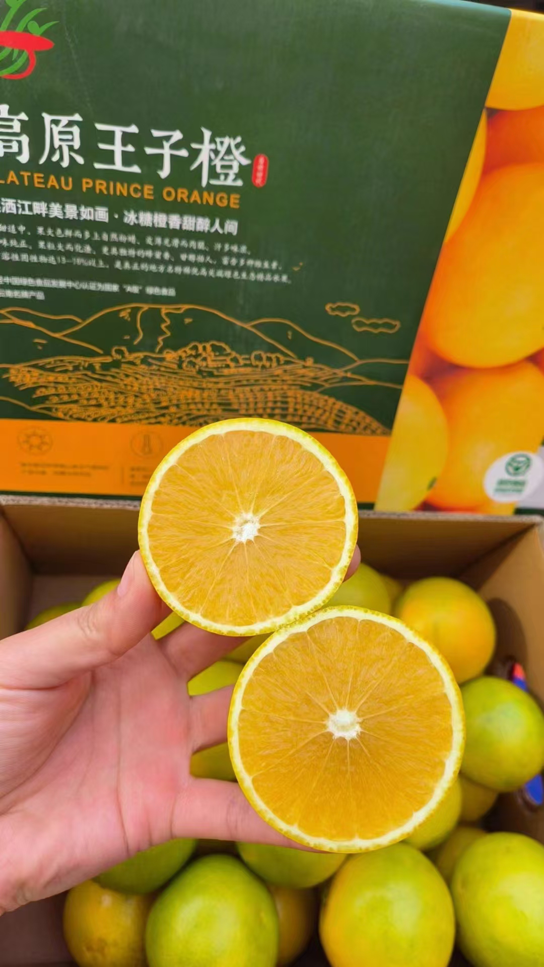 高原王子橙2斤