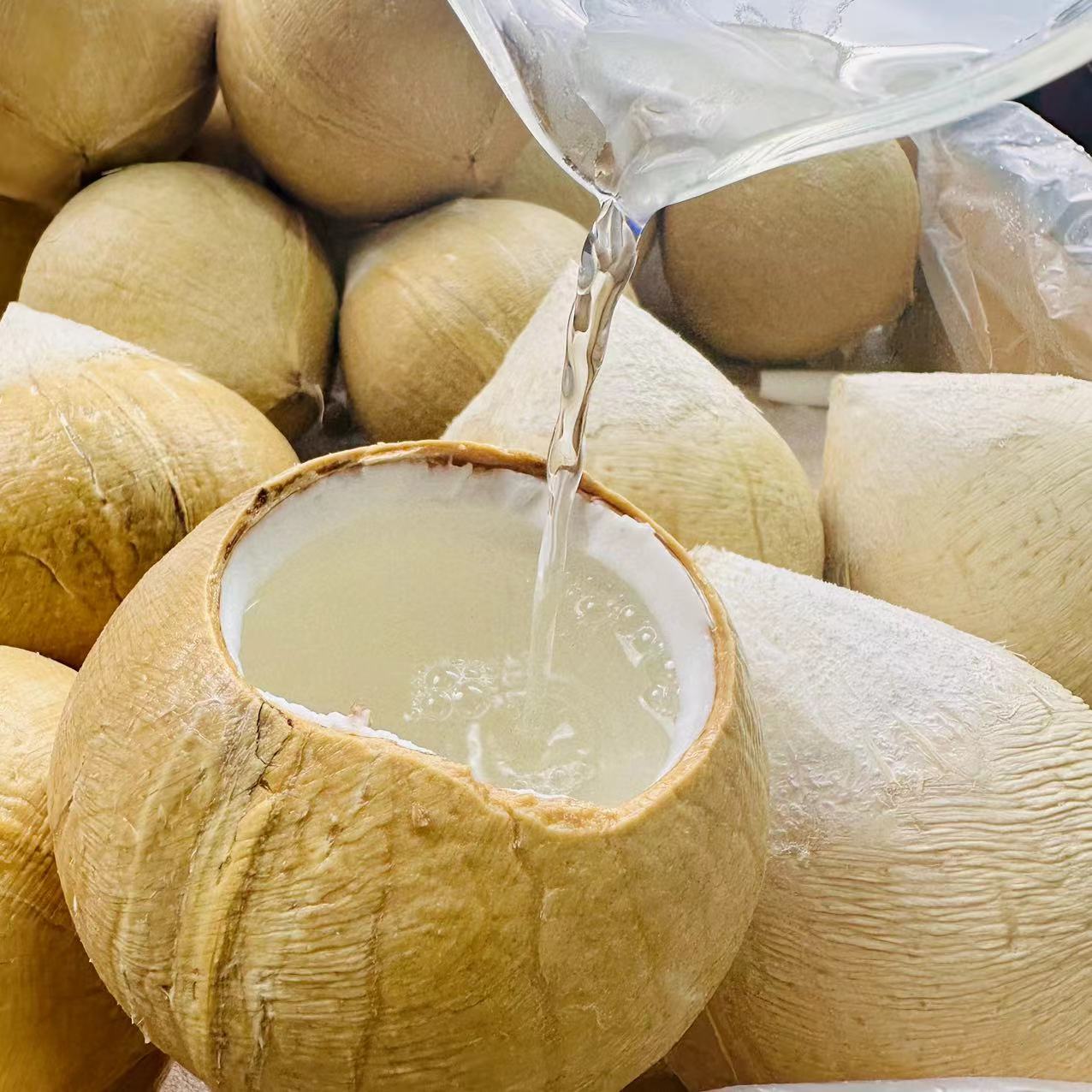 泰国丹嫩沙多椰皇8个中果顺丰包邮坏果包赔