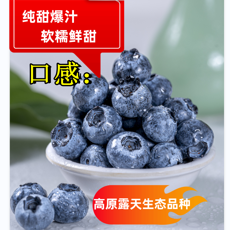 云南生态蓝莓2级果