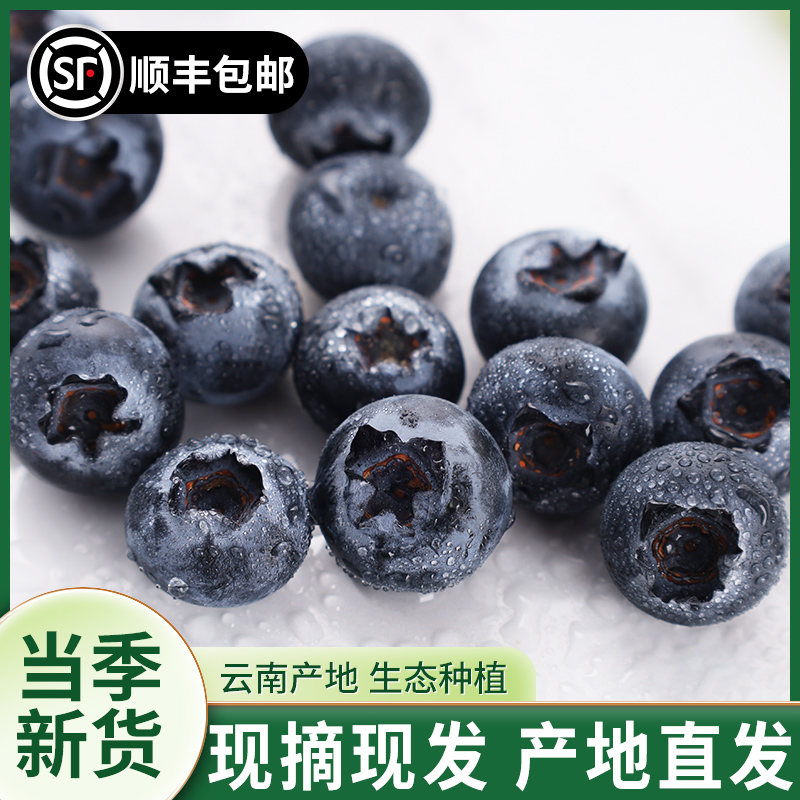 【半斤】买4盒送2盒专属