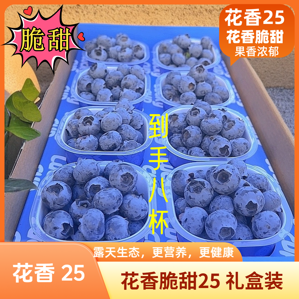 【莓小蓝】1斤装花香蓝莓小懒杯礼盒 云南抚仙湖生态蓝莓新鲜现摘