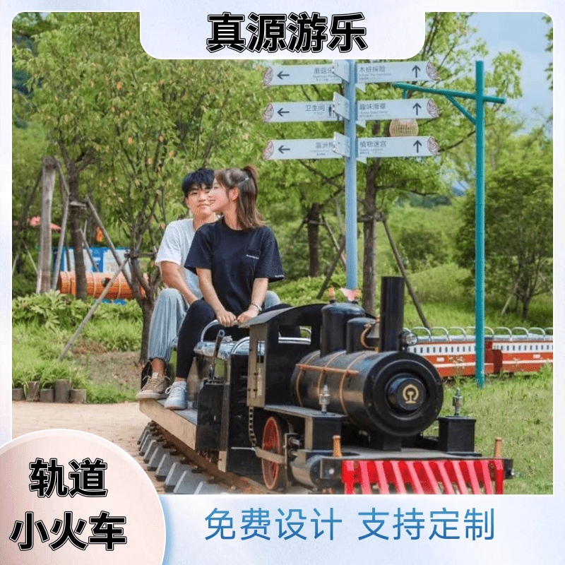 景区网红轨道小火车观光车多人骑挂式小火车游乐设备厂家定制安装