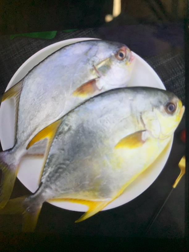 广西北海（金昌鱼）肉质细嫩鲜美