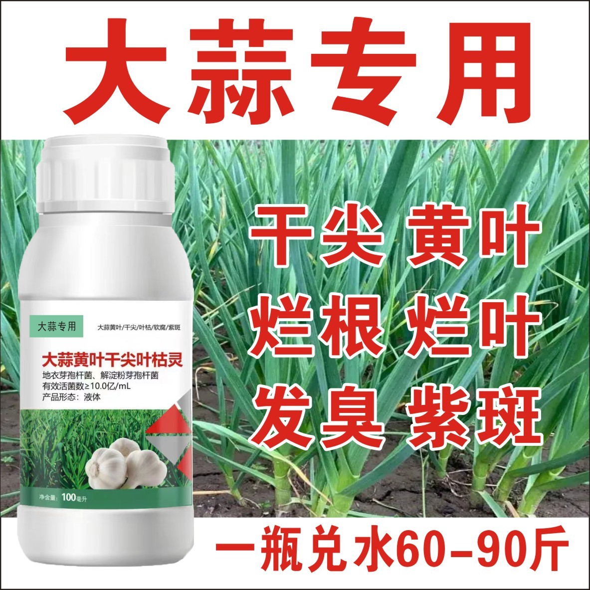 【工厂直发】大葱干尖黄叶专用药斑点根腐病紫斑病叶枯病软腐早疫