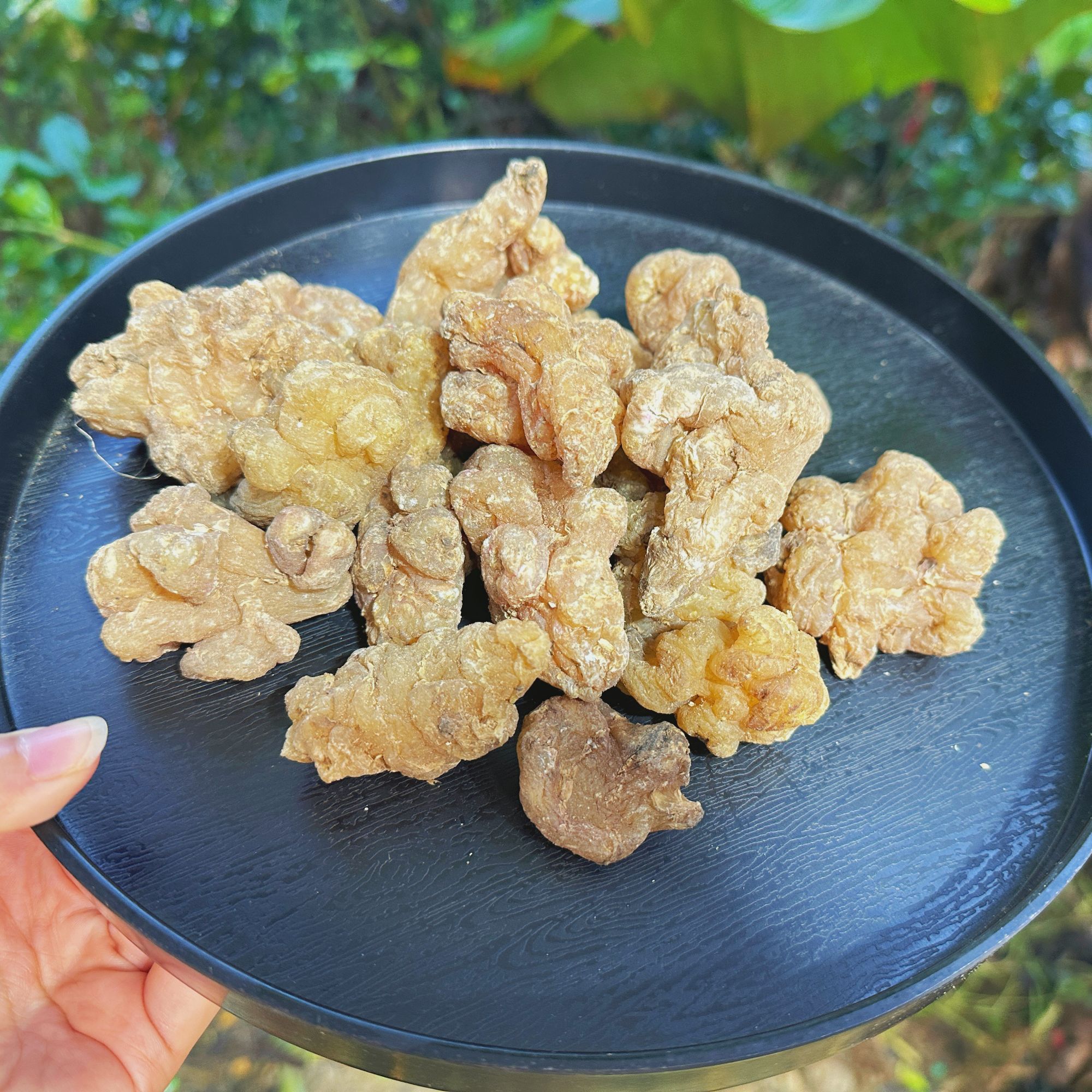 【阿刊収好货】现收土特产 玉-金-苓 250--500克食用农产品