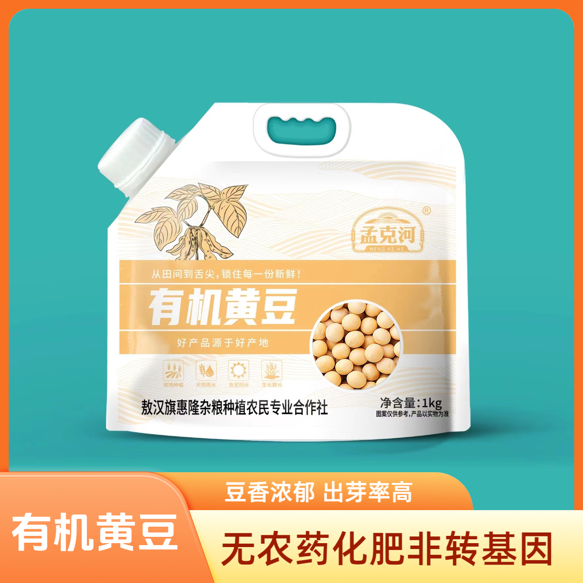 有机黄豆非转基因严选有机种植颗粒饱满营养健康可发芽煲汤打豆浆