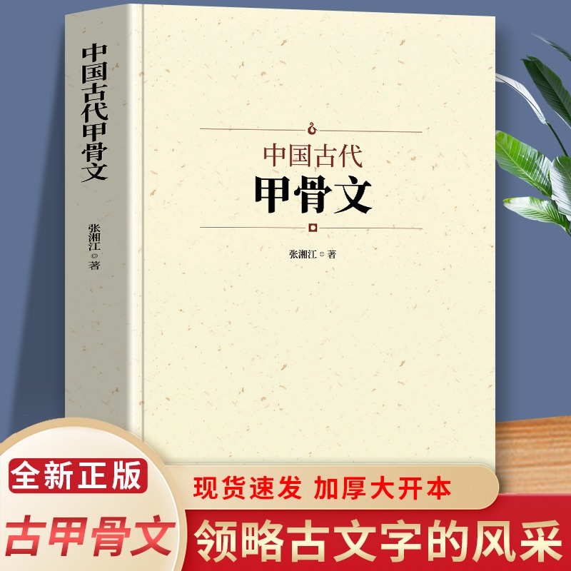 中国古代甲骨文国学经典历史文字中国说文解字汉字工具书古典文学