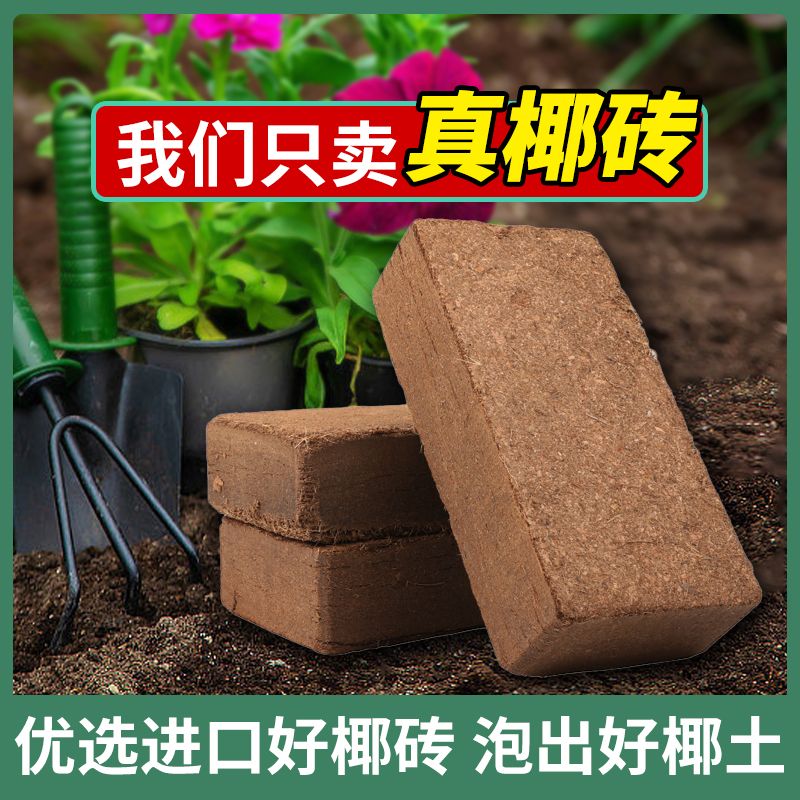 椰砖营养土养花通用型椰糠植物花土种菜泥土脱盐肥多肉土壤种植土