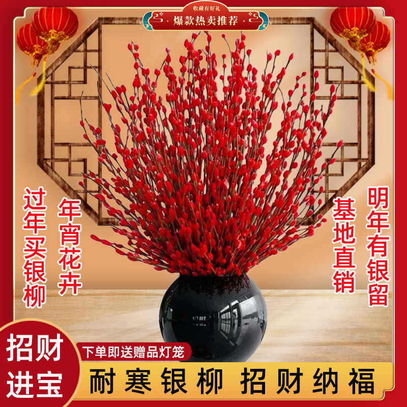 红色银柳真花鲜枝年宵花卉干花室内客厅插花招财旺宅新年喜庆装饰