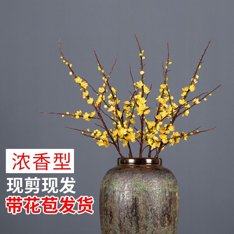 腊梅花苞干枝素心腊梅鲜花水培植物耐寒好养浓香腊梅遇水开花植物
