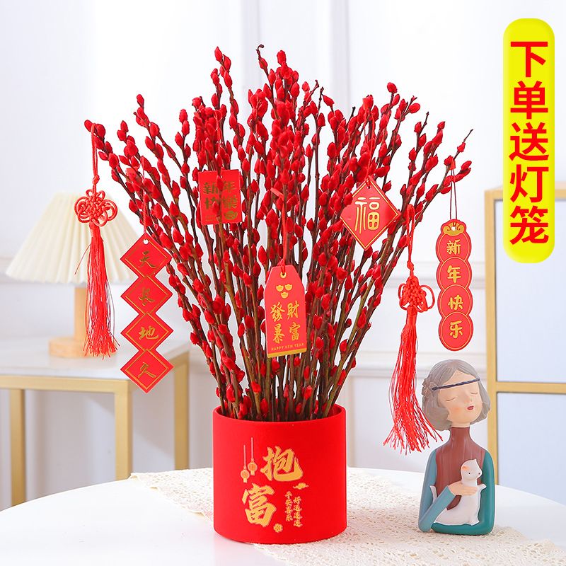 年宵花卉银柳真花鲜枝红色干花水培植物室内客厅阳台装饰花束摆件