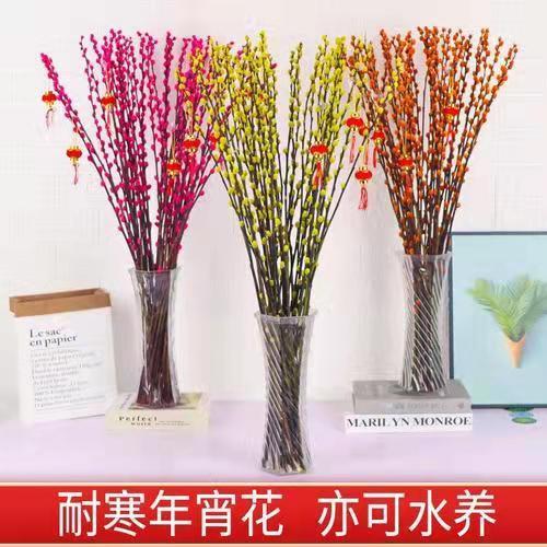 银柳真花鲜枝干花摆件室内水培绿植物新年红福桶招财年宵花卉盆栽